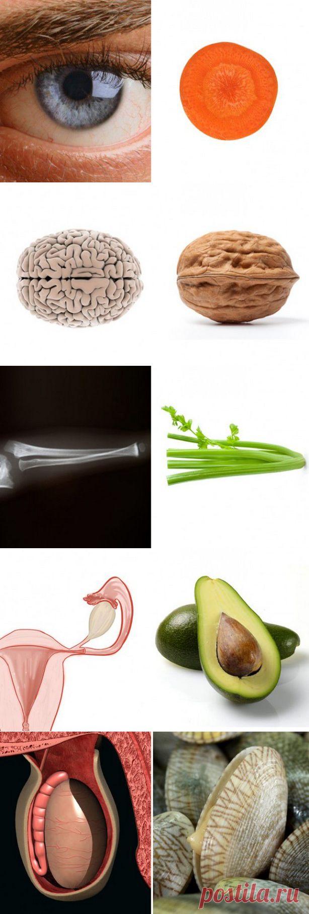 Еда полезна для той части тела, на которую похожа - ЗДОРОВЫЙ ОБРАЗ
