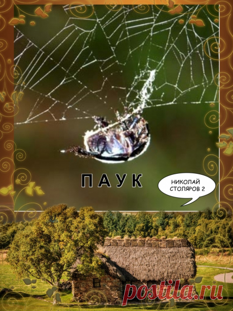 ПАУК ~ Открытка (плейкаст)