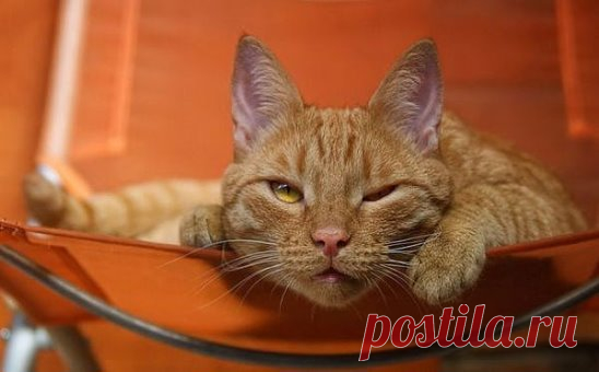 Характер у меня прелестный... А вот у вас нервишки - дрянь