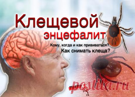 Вирусное заболевание, передающееся через укусы клещей.