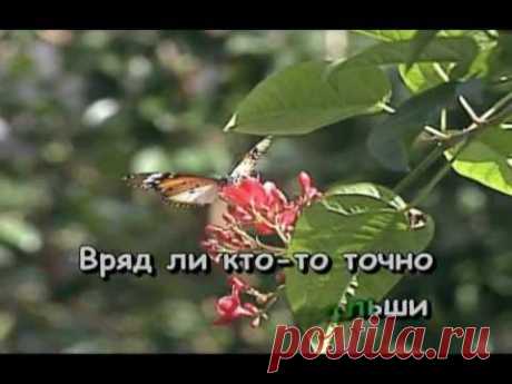 Лето Это Маленькая Жизнь — Караоке Олега Митяева — Бесплатное караоке на Караопа.ру!