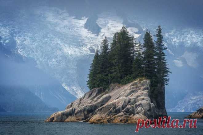 Лучшие фотографии месяца