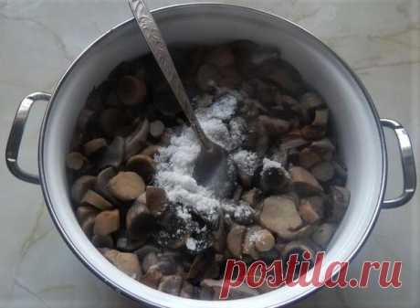 Солёные грибы в банках | Цветочная душа | Яндекс Дзен