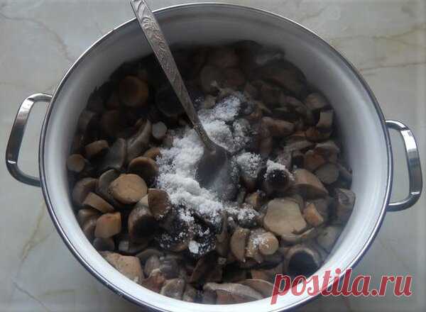 Солёные грибы в банках | Цветочная душа | Яндекс Дзен