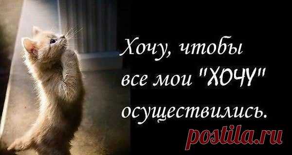 Мой Мир@Mail.Ru