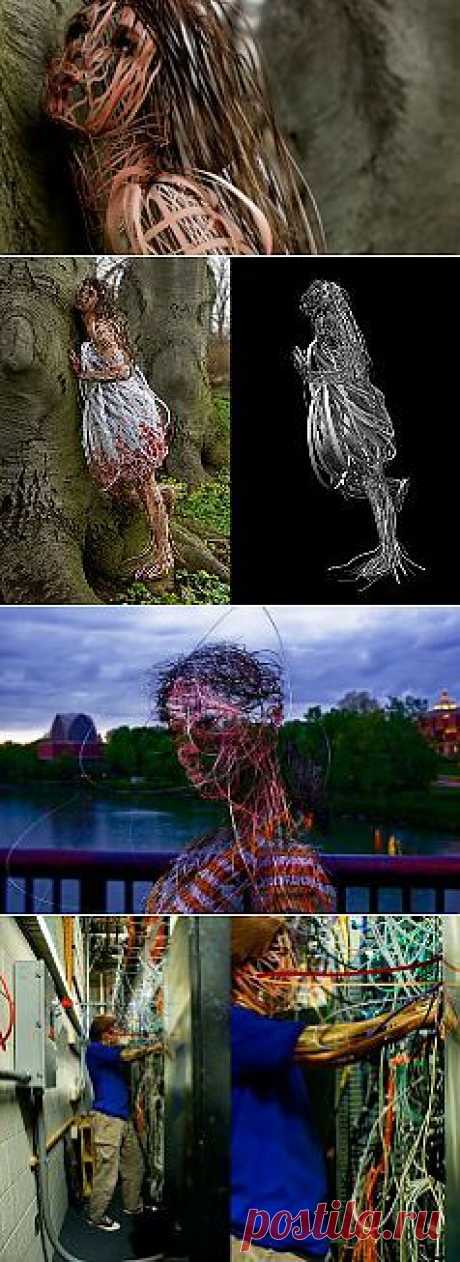 Люди 3D