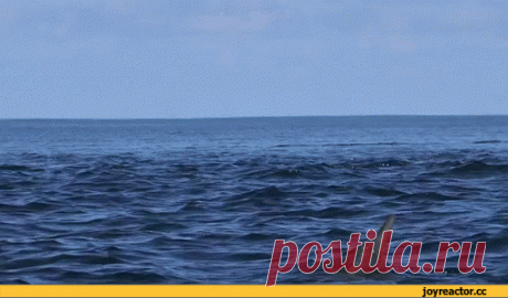 Мой Мир@Mail.Ru