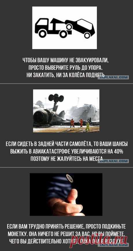 НОВЫЕ ХИТРОСТИ ЖИЗНИ)))