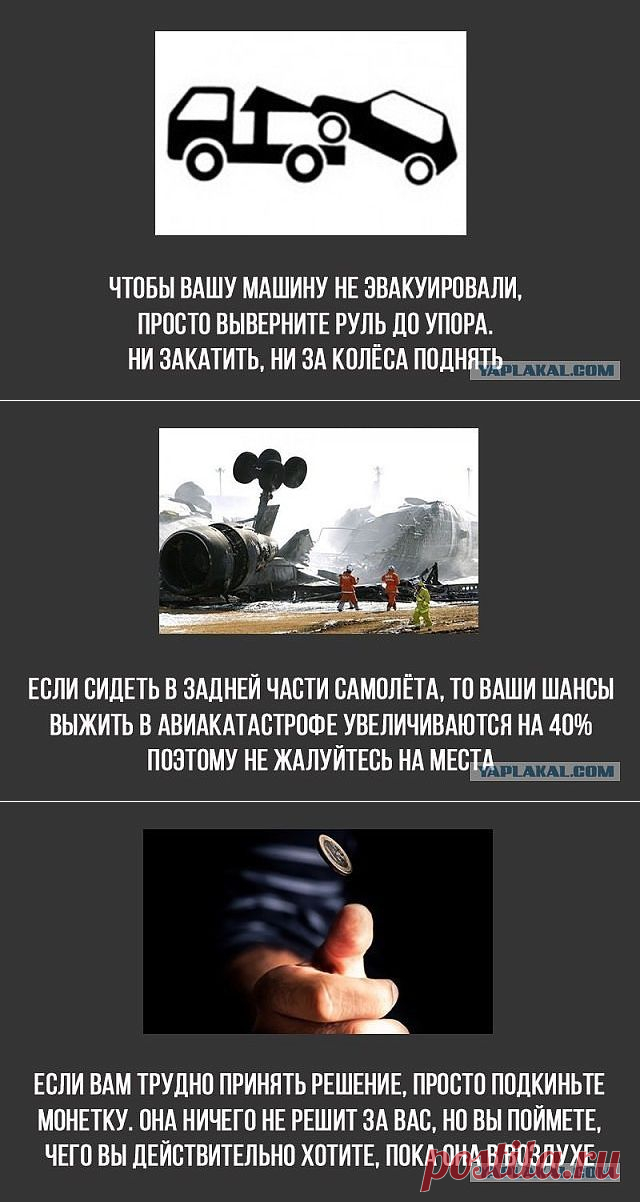 НОВЫЕ ХИТРОСТИ ЖИЗНИ)))