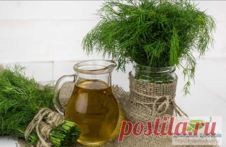 Солерастворяющие чаи: гонят соли из организма, от камней очищают, здоровье спасают Обычно эту процедуру проводят, когда лечение связано с выводом нерастворимых солей (например, при выводе камней и солей из почек или желчного пузыря).

Солерастворяющие чаи
Чай из корней подсолнуха ощ…