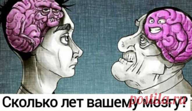 Тест: ваш мозг старше или моложе вашего настоящего возраста? — Бабушкины секреты