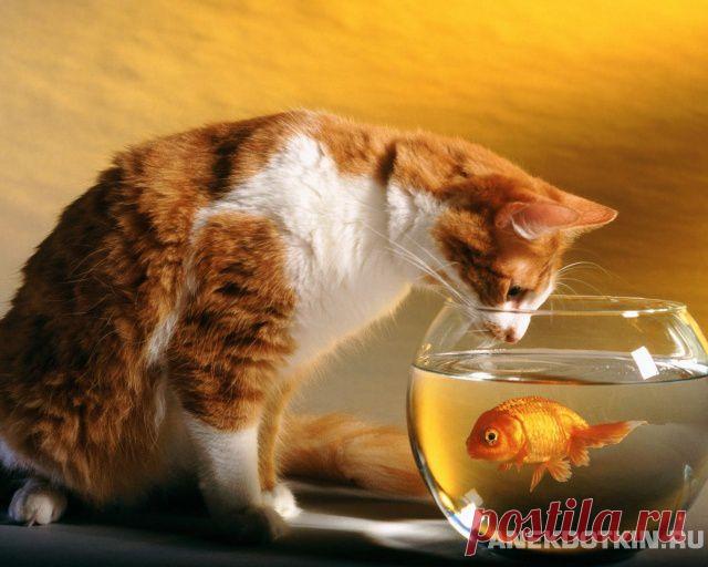 Неизвестная_Планета