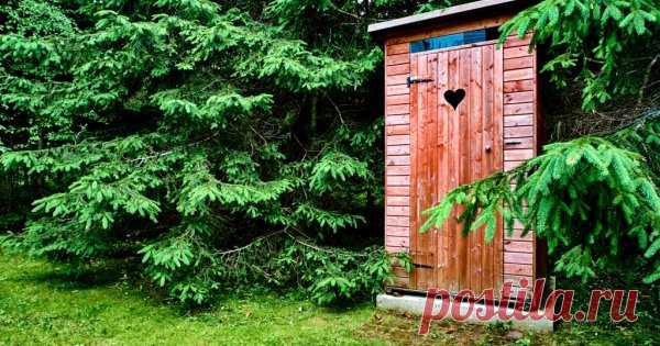 5 проверенных способов, как избавиться от запаха в дачном туалете Неприятный запах в дачном туалете – тема, волнующая многих, но не каждый знает, что избавиться от зловония совсем не сложно. Рассмотрим несколько популярных и доступных способов.