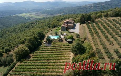 Оливковые рощи Умбрии признаны всемирным сельскохозяйственным наследием | В мире