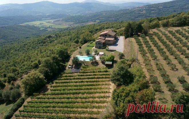 Оливковые рощи Умбрии признаны всемирным сельскохозяйственным наследием | В мире