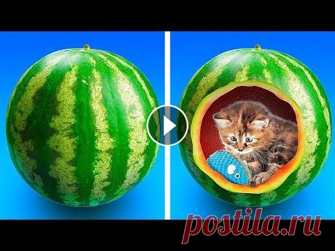 35 Супер-поделки для ваших домашних любимцев ЭТИ КРАФТОВЫЕ ИДЕИ СТОИТ ПОПРОБОВАТЬ Наши питомцы заслуживают самого лучшего, верно? Они по праву считаются членами семьи! В этом видео есть уйма идей...