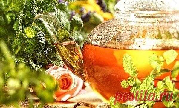 6 полезных добавок к чаю. Согревайтесь!

1. Анис - его плоды полезно добавлять в чай, как только у вас появилось неприятное шероховатое ощущение в горле. Такой чай можно принимать и если кашель уже начался - вылечится получится гораздо быстрее.

2. Жасмин - он помогает справиться с общим упадком сил и симптомами хронической усталости, поднимет пониженное артериальное давление и возбуждает аппетит.

3. Имбирь - корень имбиря можно натирать на терке и заваривать кипятком или...