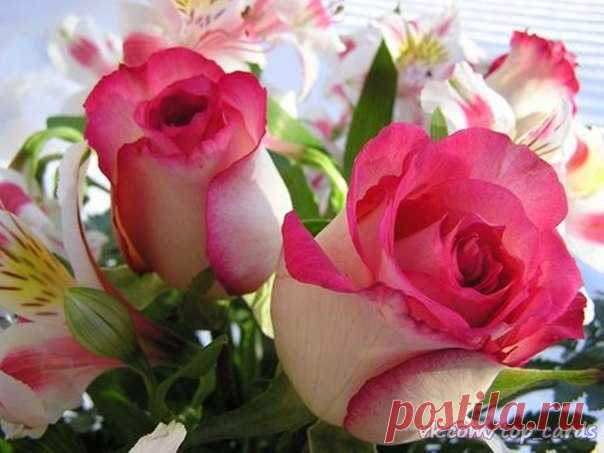 Доброе утро,Мир. Хорошей недели.❤😘