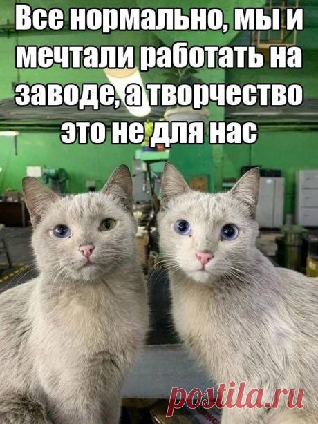 Мир был бы прекрасен, если бы на заводе были такие работники - 24.11.24 00:19 | Пикабу