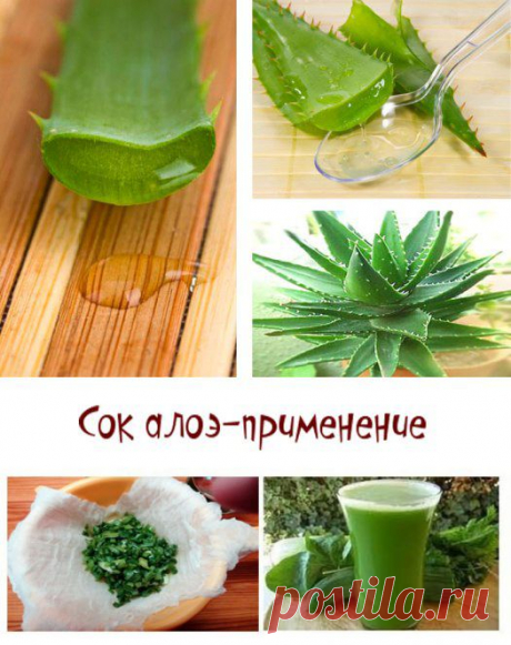 Сок алоэ. Сок алоэ применение. Лечение соком алоэ.Сок алоэ с медом.Сок алоэ рецепты. Сок алоэ для лица и для волос - Блог о красоте и здоровье