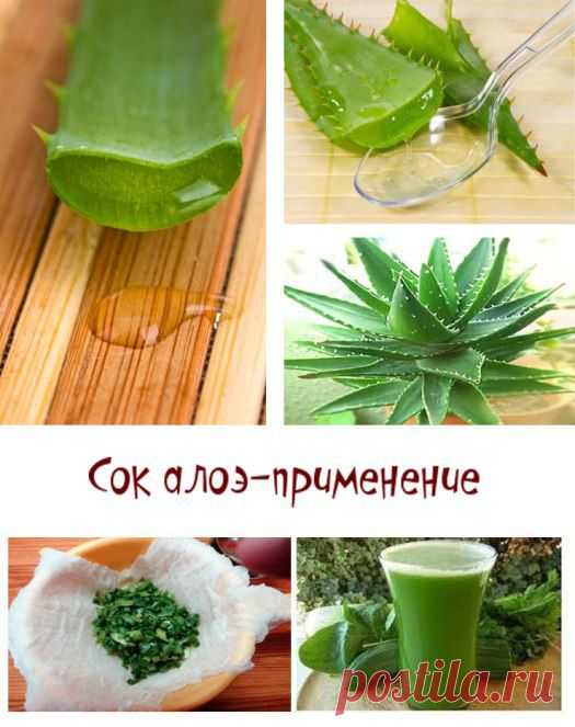 Сок алоэ. Сок алоэ применение. Лечение соком алоэ.Сок алоэ с медом.Сок алоэ рецепты. Сок алоэ для лица и для волос - Блог о красоте и здоровье