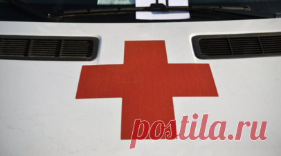 В Подмосковье оформили порядка 30 000 онлайн-заявок на экстренную соцпомощь. В Московской области доступна цифровая услуга по оказанию экстренной социальной помощи. Жители уже оформили около 30 тыс. соответствующих заявок с начала года. Читать далее