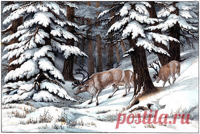 Instant Art Printable - Экстраординарная Печать Оленей - The Graphics Fairy