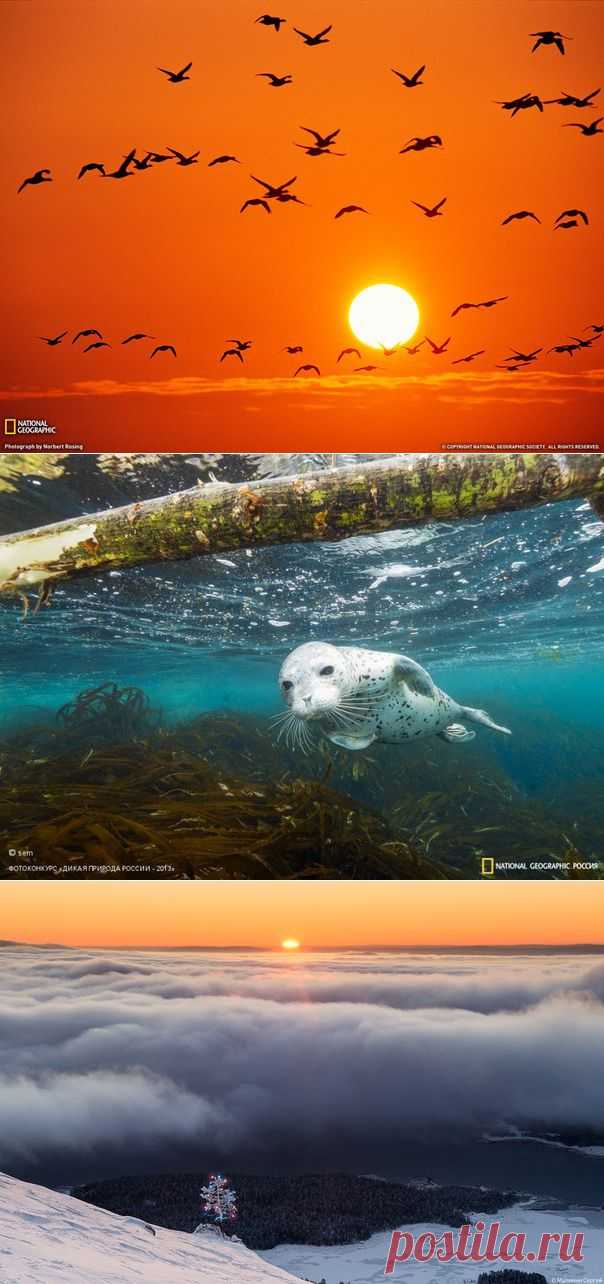 Снуд с бисером спицами / Вязание спицами.... и другие материалы. Новое в Вашей подборке на Постила.ru - gwi1951@mail.ru - Почта Mail.Ru