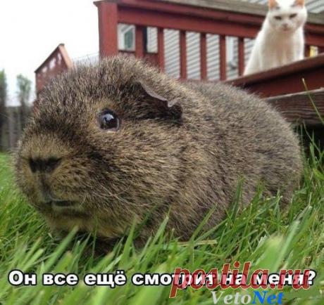 Боюсь-боюсь...