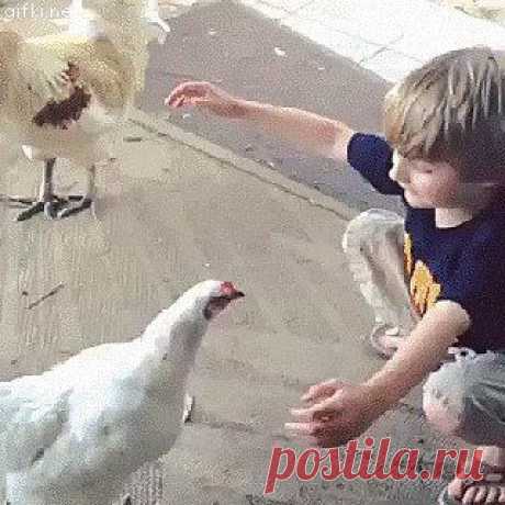 *********