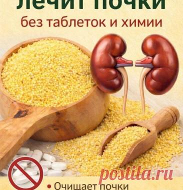 Пшено для здоровья почек: народные рецепты, польза и строгие противопоказания