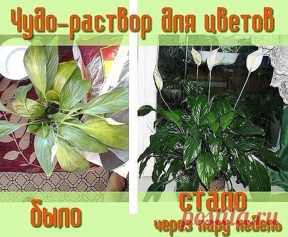 (3) Одноклассники