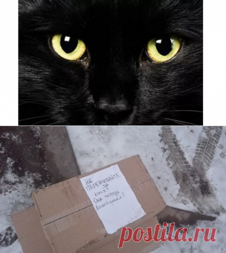 Домашняя