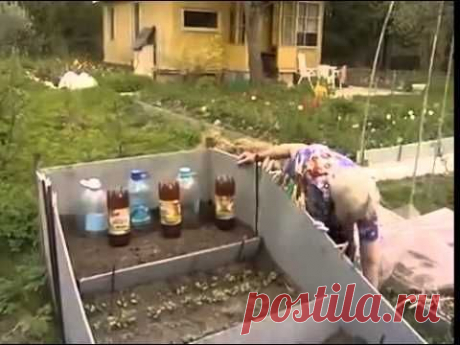 Сад, огород, дача