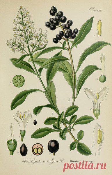 ~ MON PLAISIR ~ Вещи для души. Винтаж,Прованс.