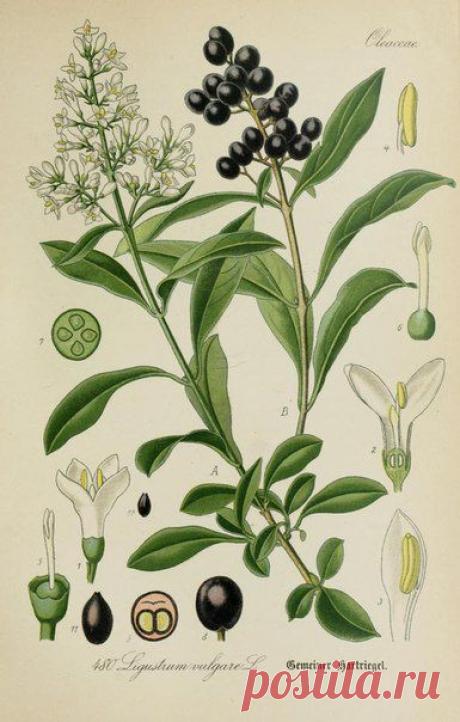 ~ MON PLAISIR ~ Вещи для души. Винтаж,Прованс.