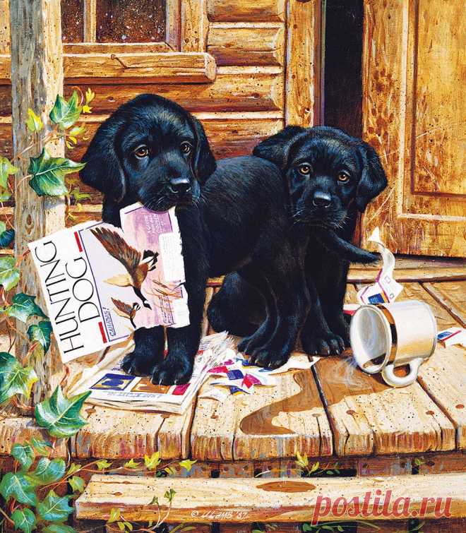 Художник Jim Lamb. Часть 1. Любопытный щенок...
