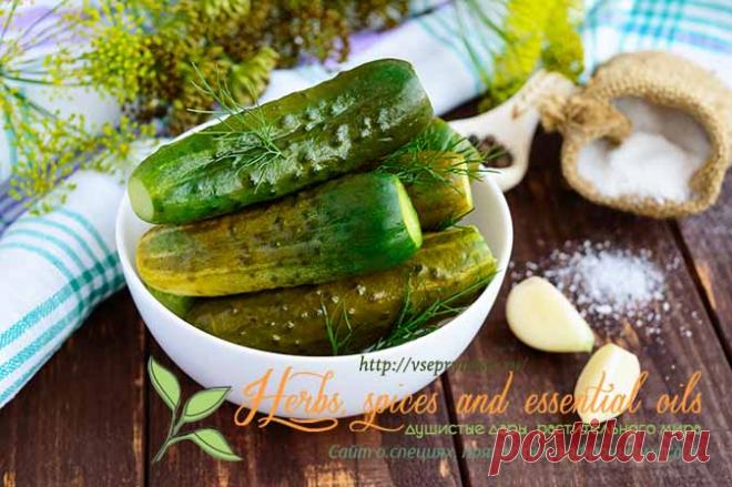 Заготовки из огурцов на зиму - объедение или пальчики оближешь