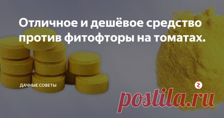 Отличное и дешёвое средство против фитофторы на томатах. Фитофтора является коварным заболеванием, так как при наступлении  благоприятных для нее условий, она разносится с молниеносной скоростью и  уносит весь урожай. Зачастую, фитофторой заболевают именно томаты. Как  определить, что растение заболело? На нем вначале появятся темные  пятнышки на листьях и поражения на стеблях, а затем и на самих  помидорах.
Есть один проверенный способ, который провере
