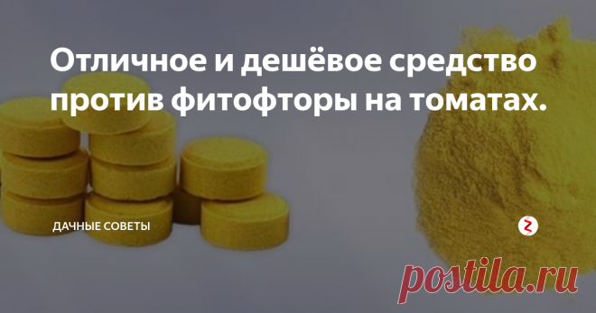 Отличное и дешёвое средство против фитофторы на томатах. Фитофтора является коварным заболеванием, так как при наступлении  благоприятных для нее условий, она разносится с молниеносной скоростью и  уносит весь урожай. Зачастую, фитофторой заболевают именно томаты. Как  определить, что растение заболело? На нем вначале появятся темные  пятнышки на листьях и поражения на стеблях, а затем и на самих  помидорах.
Есть один проверенный способ, который провере