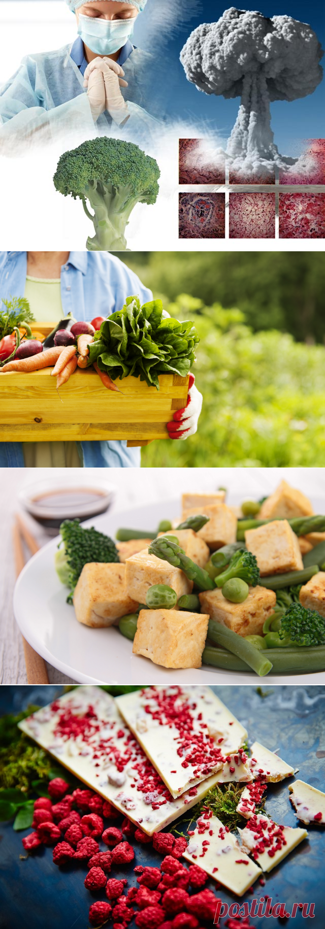 Продукты против рака: лечение с помощью питания