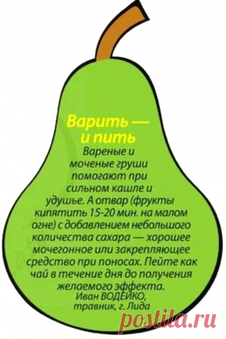 О пользе груши