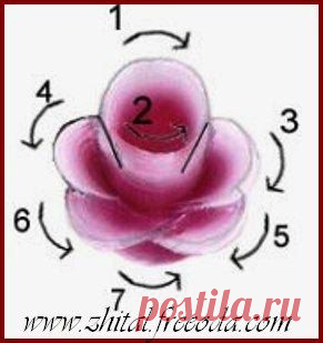 Как рисовать простую розочку? | Золотые Руки