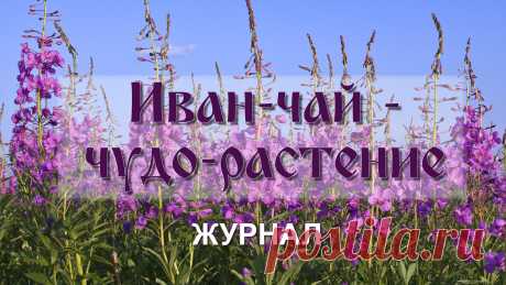 КОНТ | Платформа для социальной журналистики