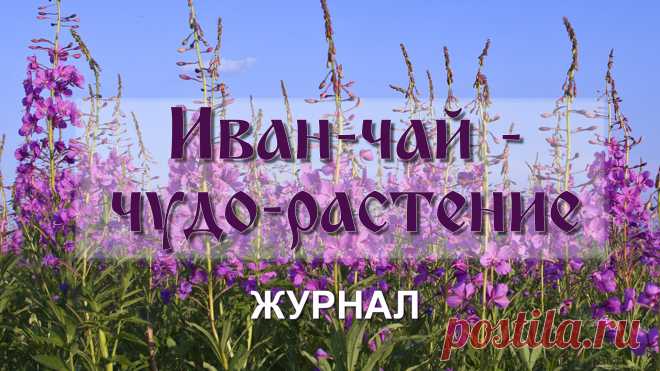 КОНТ | Платформа для социальной журналистики