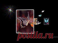 (+1) тема - Бабочки | ВИДЕОСМАК