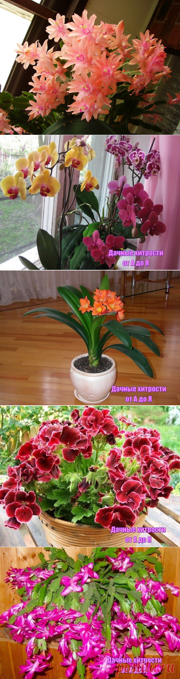 Вам сообщение!