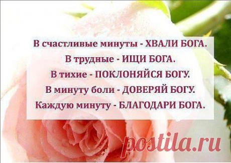 (29) Одноклассники