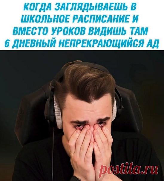 Овсянка, сэр!