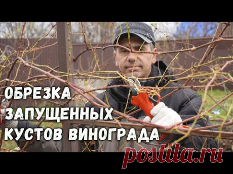 ю